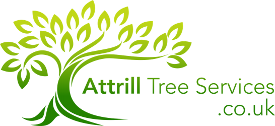 74a404f1-b415-4189-af78-fe1a49f7bc5b 74a404f1-b415-4189-af78-fe1a49f7bc5b